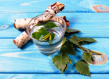 Brezová prírodná šťava detoxikuje v pohári na brezovej kôre a brezovej vetve.