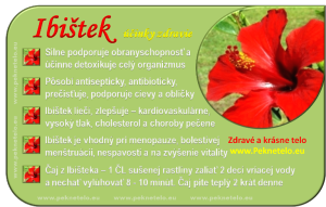 Info Ibištek