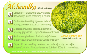 Info alchemilka