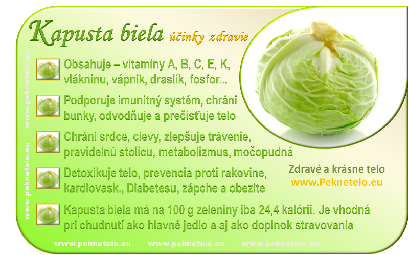 obrazok biela kapusta