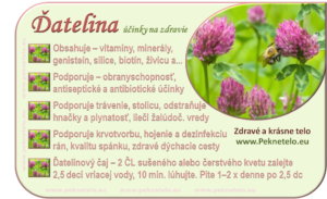 Info datelina