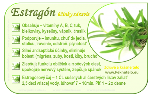 Info obrazok estragon