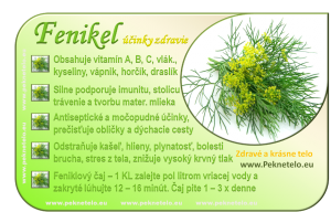 Info obrazok fenikel