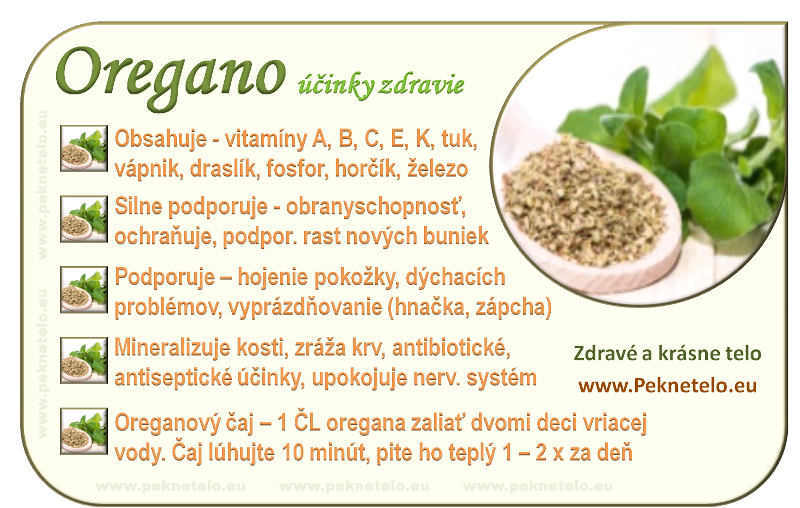 korenie oregano