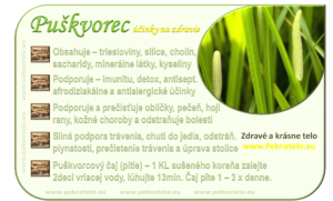 info puskvorec obycajny