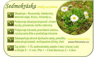 Info sedmokraska
