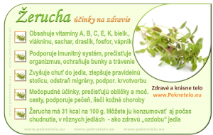 Info obrazok zerucha
