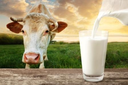 Krava na lúke a pohár mlieka, sušené mlieko