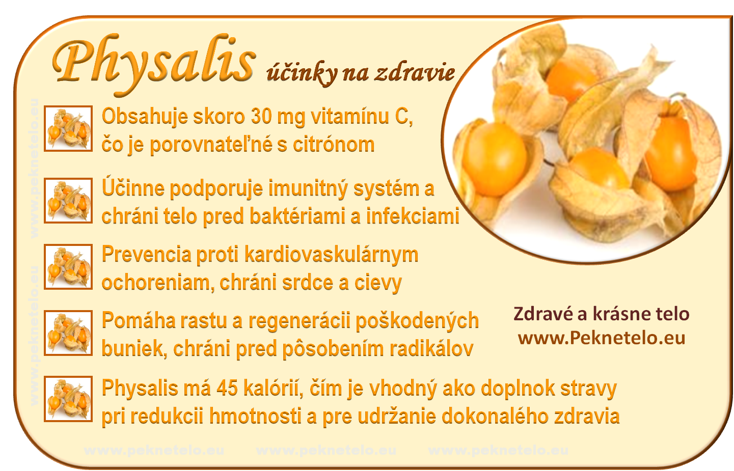 Co je to physalis?