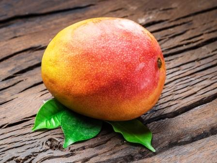 Zrele mango ovocie s mango listami