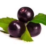 ovocie acai berry