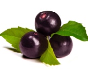 ovocie acai berry