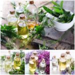 bylinky a liečivé rastliny, oleje