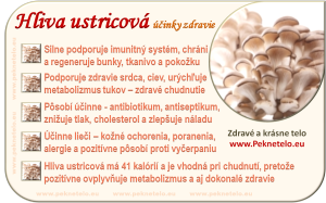 Hliva ustricová - info obrázok