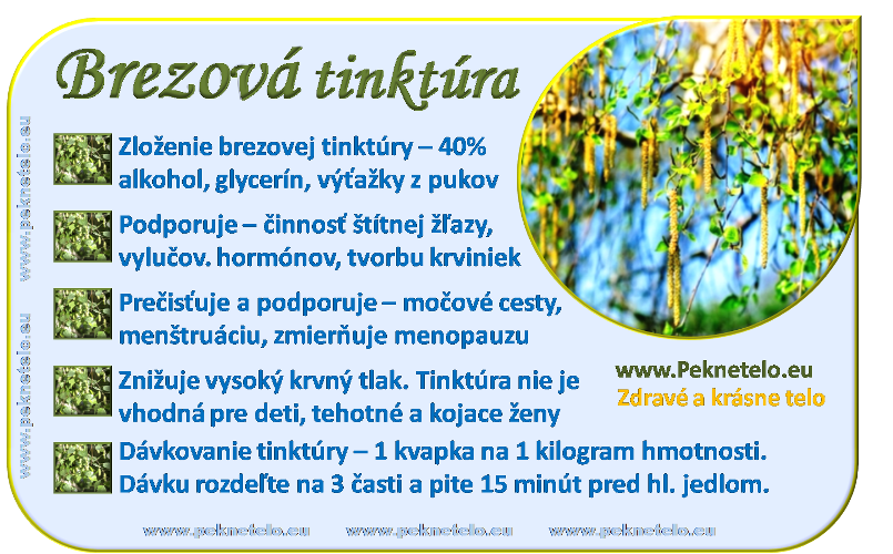 info brezova tinktura