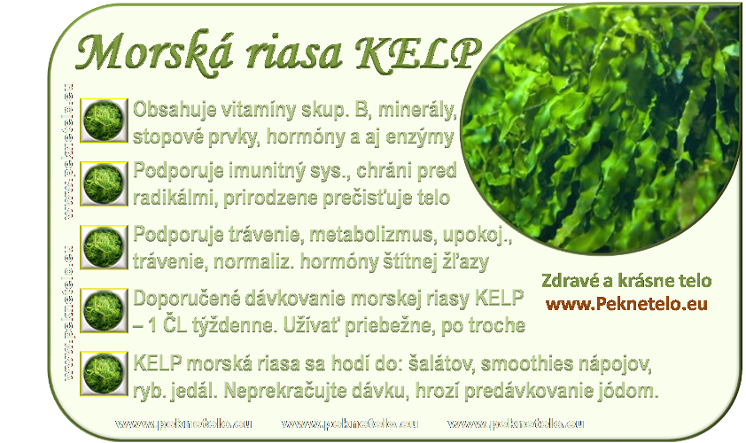 info-morska-riasa-kelp