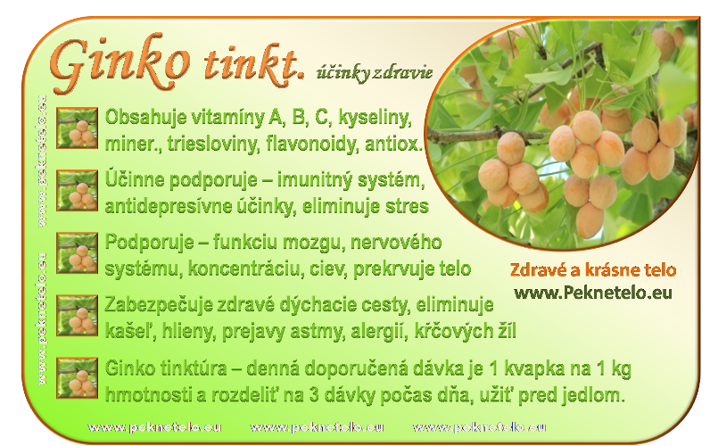 info obrazok ginko tinktura info obrazok ginko tinktura