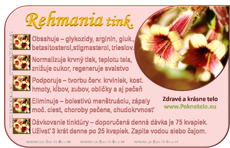 info rehmania tinktura