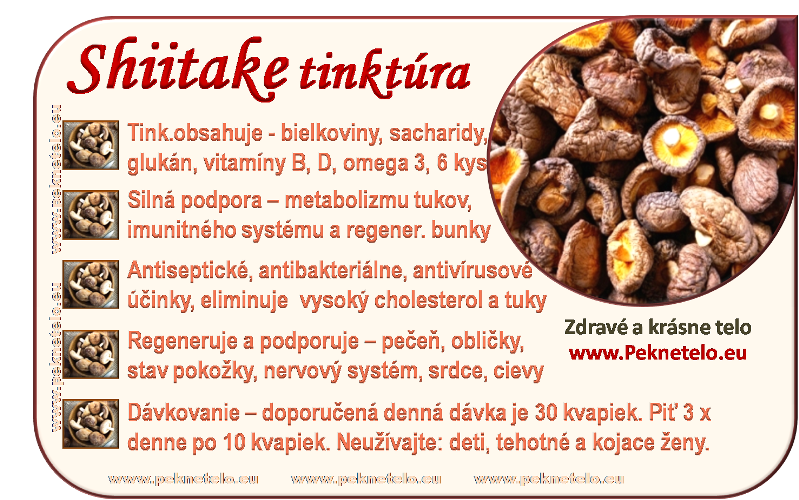 info shiitake tinktura