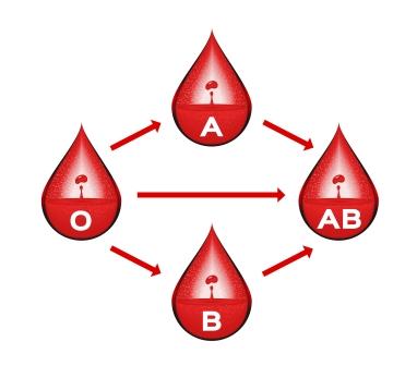 stravovanie krvných skupin