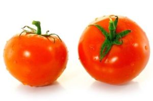 paradajky