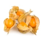 physalis - židovská čerešňa - machovka