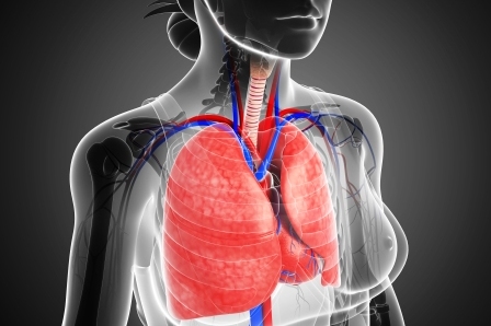 pľúca v tele ženy, prečistenie pľúc