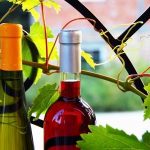 červené a biele fľaše na víno medzi listami viniča