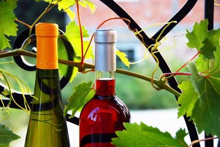 červené a biele fľaše na víno medzi listami viniča